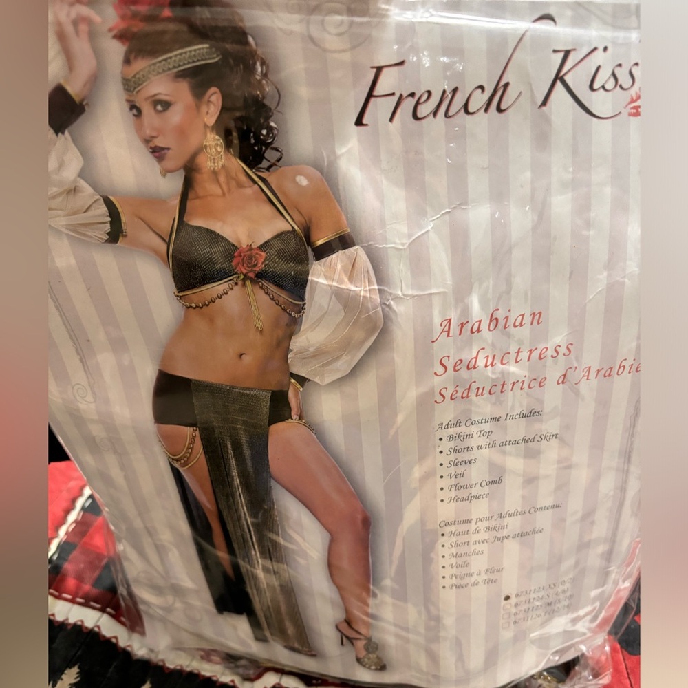 Sexy Costume